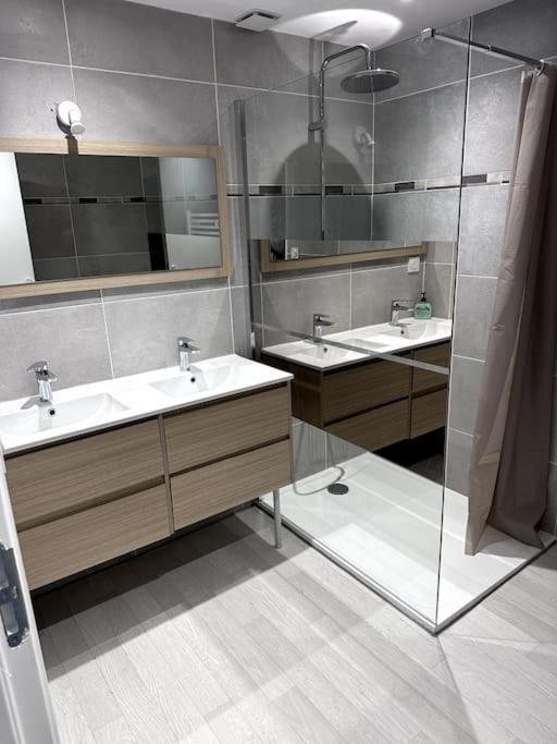 Appartement T4 En Hyper-Centre Bourgoin-Jallieu ภายนอก รูปภาพ