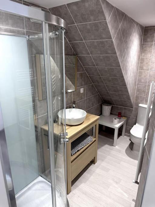 Appartement T4 En Hyper-Centre Bourgoin-Jallieu ภายนอก รูปภาพ
